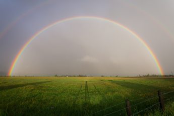rainbow shining over a green field